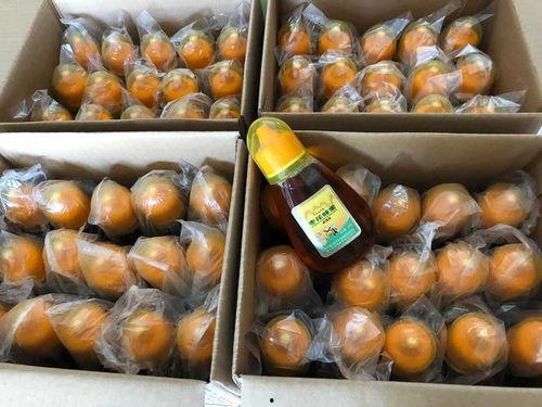 关于爆料假蜂蜜新闻